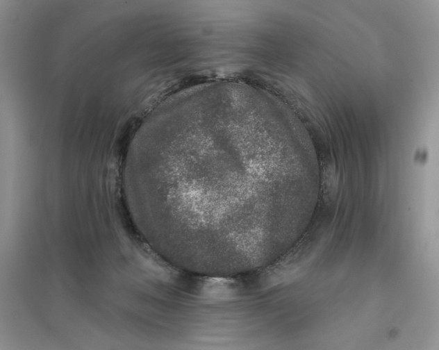 X0000096170222200802081418