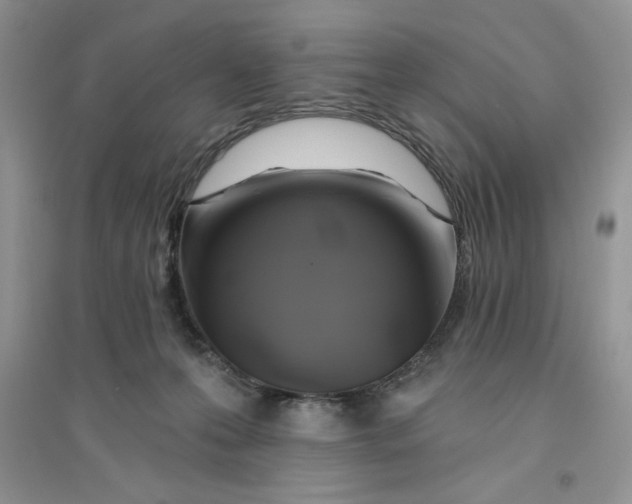 X0000096170223200802081418