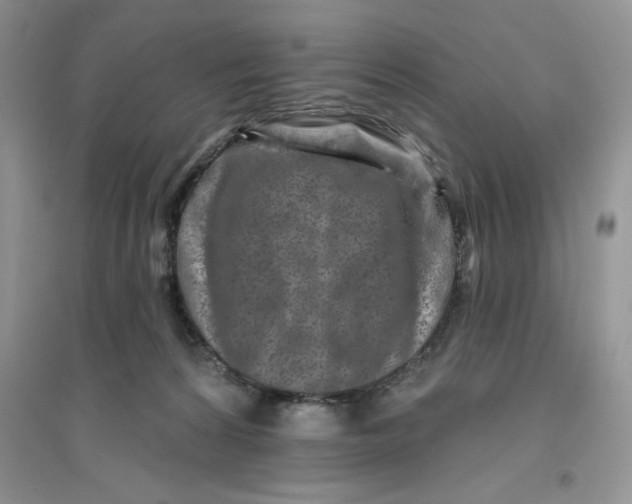 X0000096170224200802081418