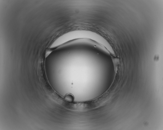 X0000096170225200802081418