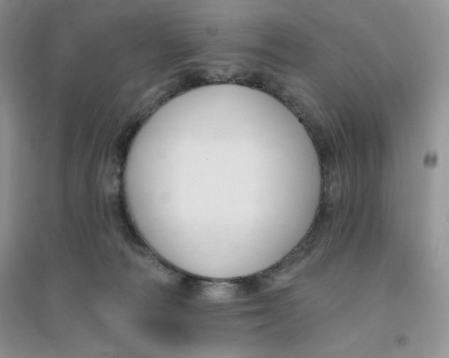 X0000096170226200802081418