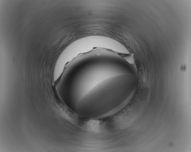 X0000096170227200802081418