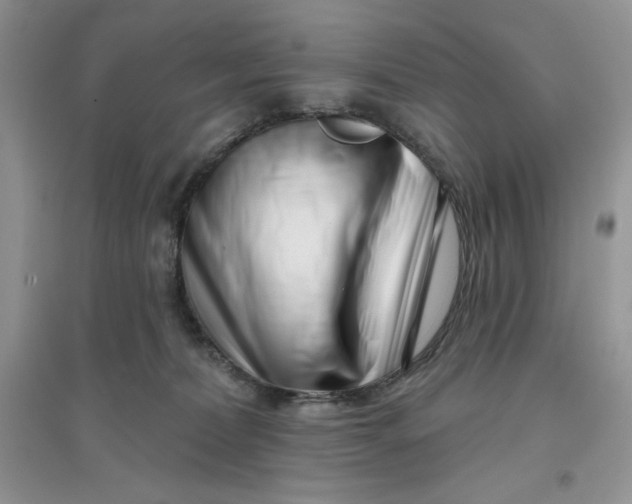 X0000096170228200802081418