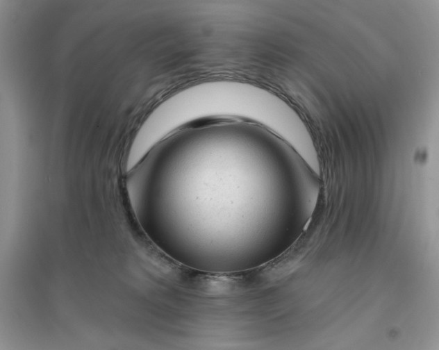 X0000096170229200802081418