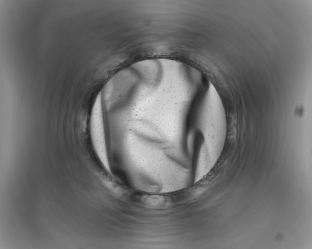 X0000096170230200802081418