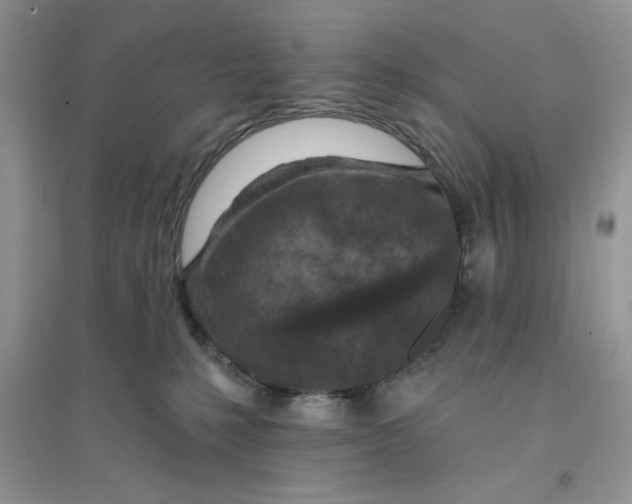 X0000096170231200802081418