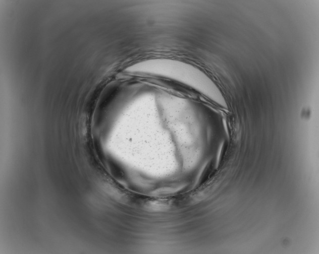 X0000096170232200802081418