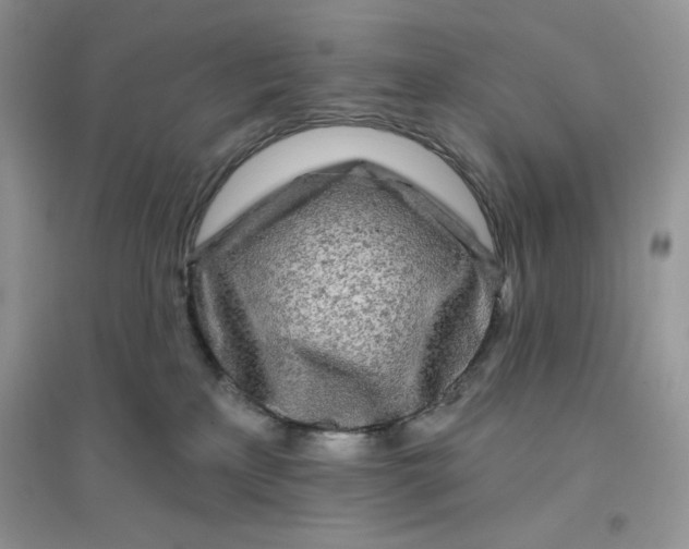 X0000096170233200802081418