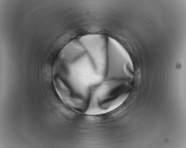 X0000096170234200802081418