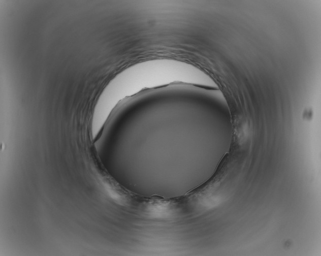 X0000096170235200802081418