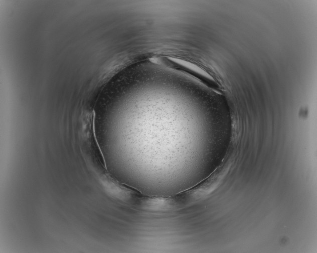 X0000096170237200802081418