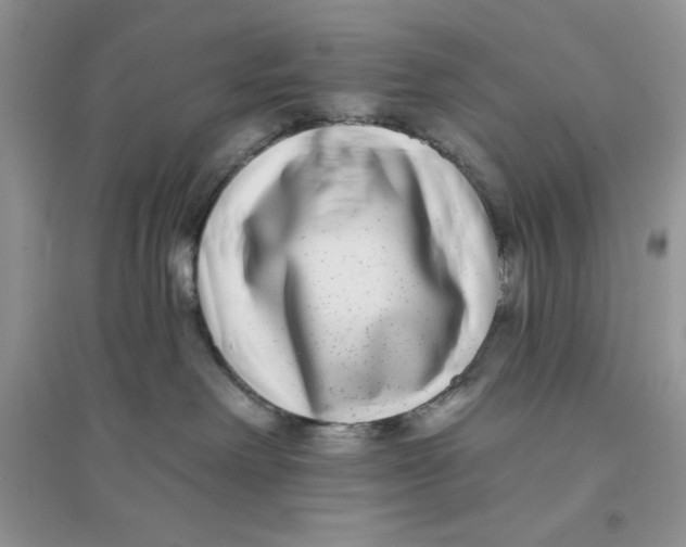 X0000096170238200802081418