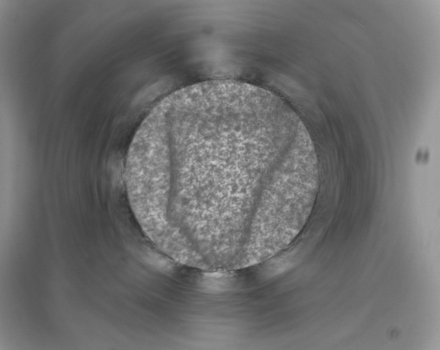 X0000096170240200802081418