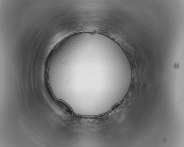 X0000096170242200802081417