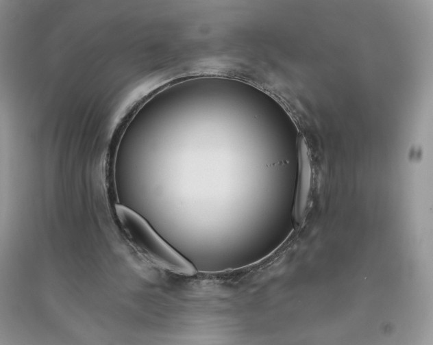 X0000096170244200802081418