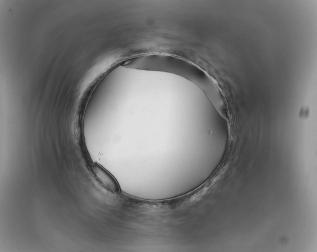 X0000096170245200802081418