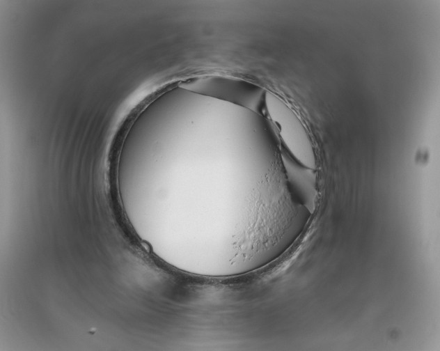 X0000096170246200802081418