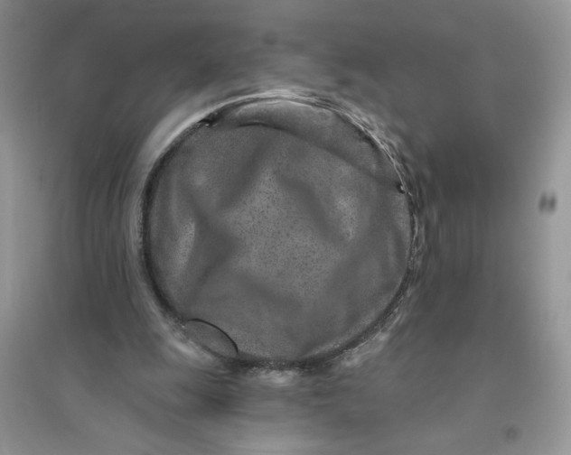 X0000096170247200802081418