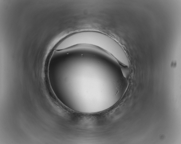 X0000096170248200802081418