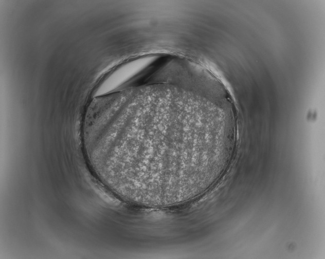 X0000096170249200802081418