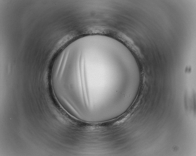 X0000096170250200802081418