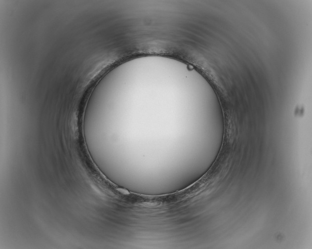 X0000096170251200802081418