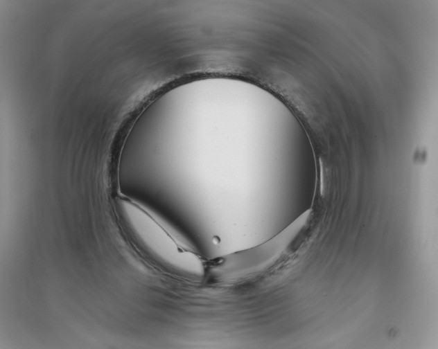 X0000096170252200802081418