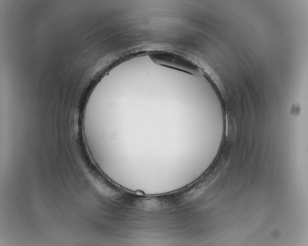 X0000096170253200802081418