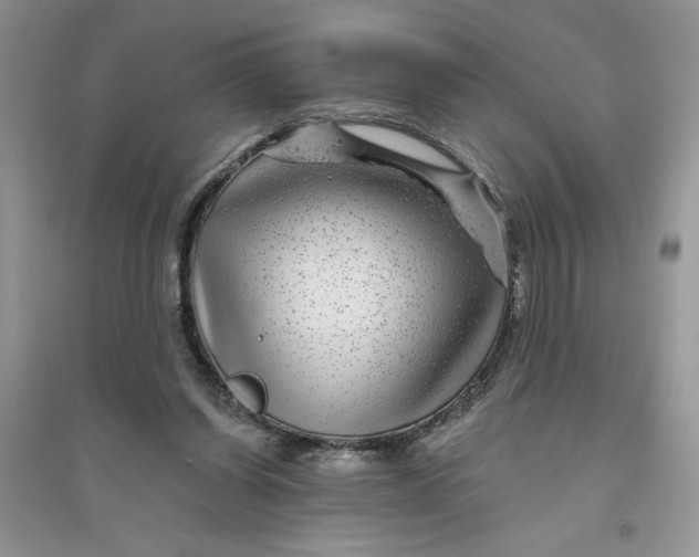 X0000096170254200802081418