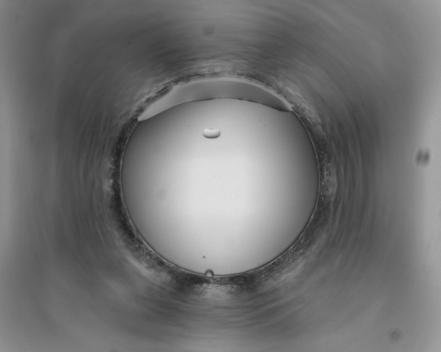 X0000096170255200802081418