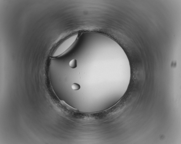 X0000096170256200802081418