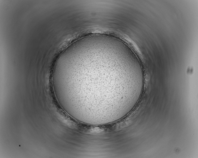 X0000096170257200802081418