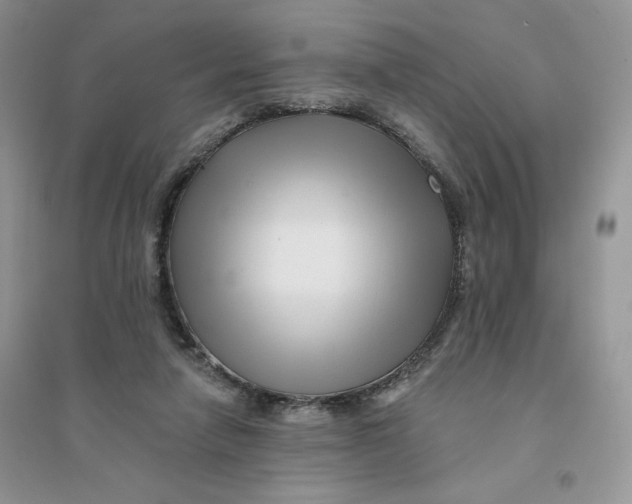 X0000096170258200802081418