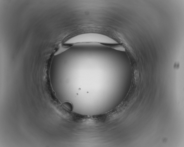 X0000096170259200802081418