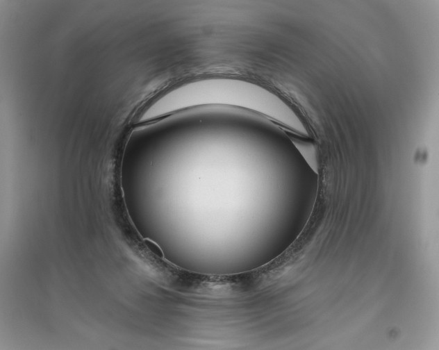 X0000096170260200802081418