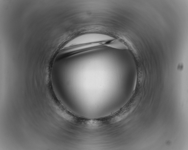 X0000096170261200802081418