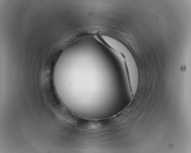 X0000096170263200802081418