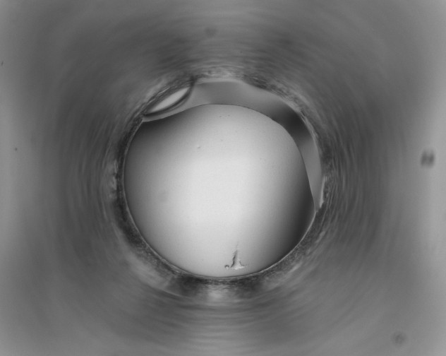 X0000096170264200802081418