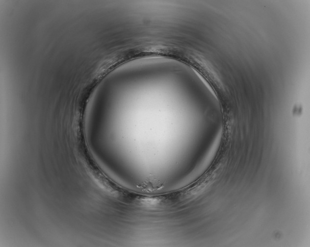 X0000096170265200802081418