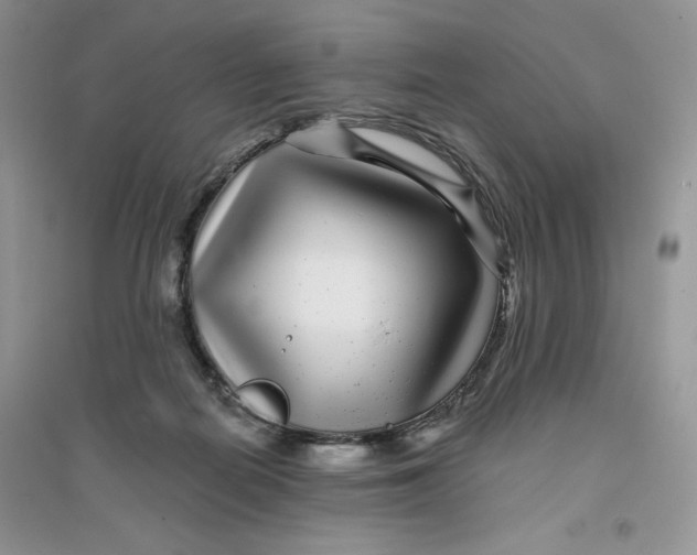 X0000096170266200802081418