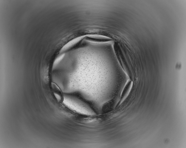 X0000096170267200802081418