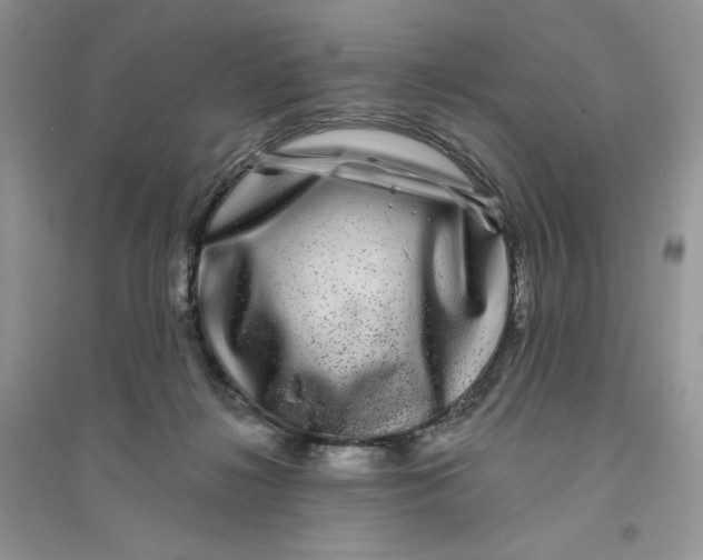 X0000096170268200802081418