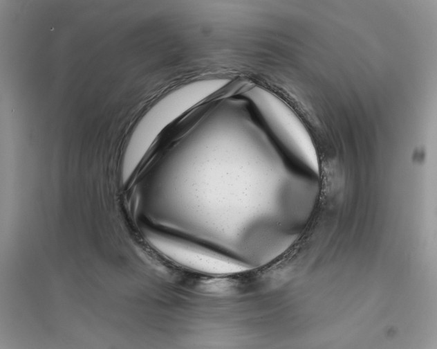 X0000096170269200802081418