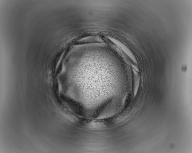 X0000096170270200802081418