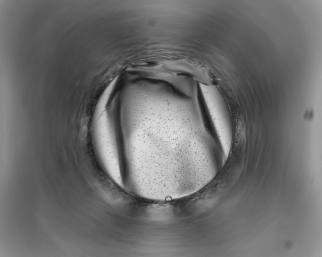 X0000096170271200802081418