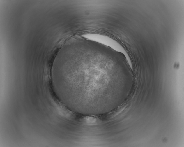 X0000096170272200802081418