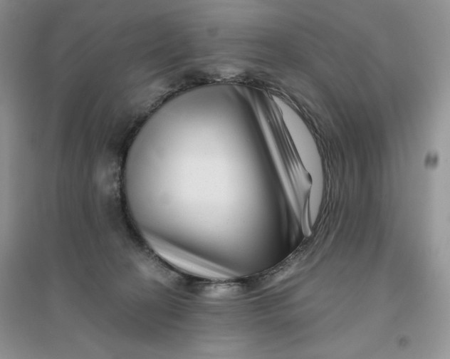 X0000096170274200802081418