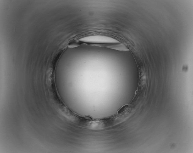 X0000096170275200802081418