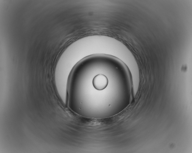 X0000096170276200802081418