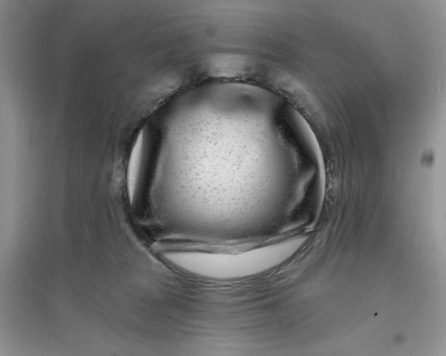 X0000096170277200802081418